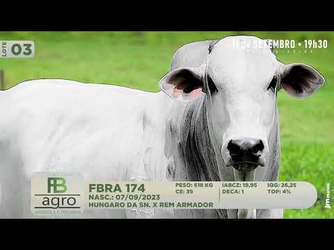 LOTE 03   FBRA 174