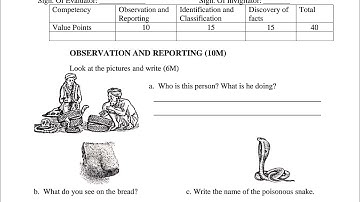KV Question Paper / class 5 EVS / PERIODIC TEST - 1 Paper / EXAM kendriya Vidyalaya