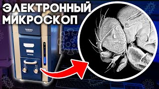 Я сделал снимок на микроскоп, способный увидеть атом, и вот, что я узнал! \\ Электронный микроскоп