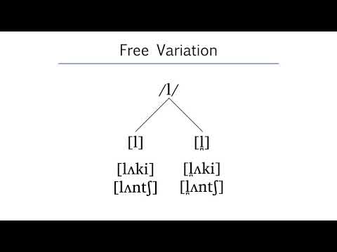 Linguistics Natural Classes Chart