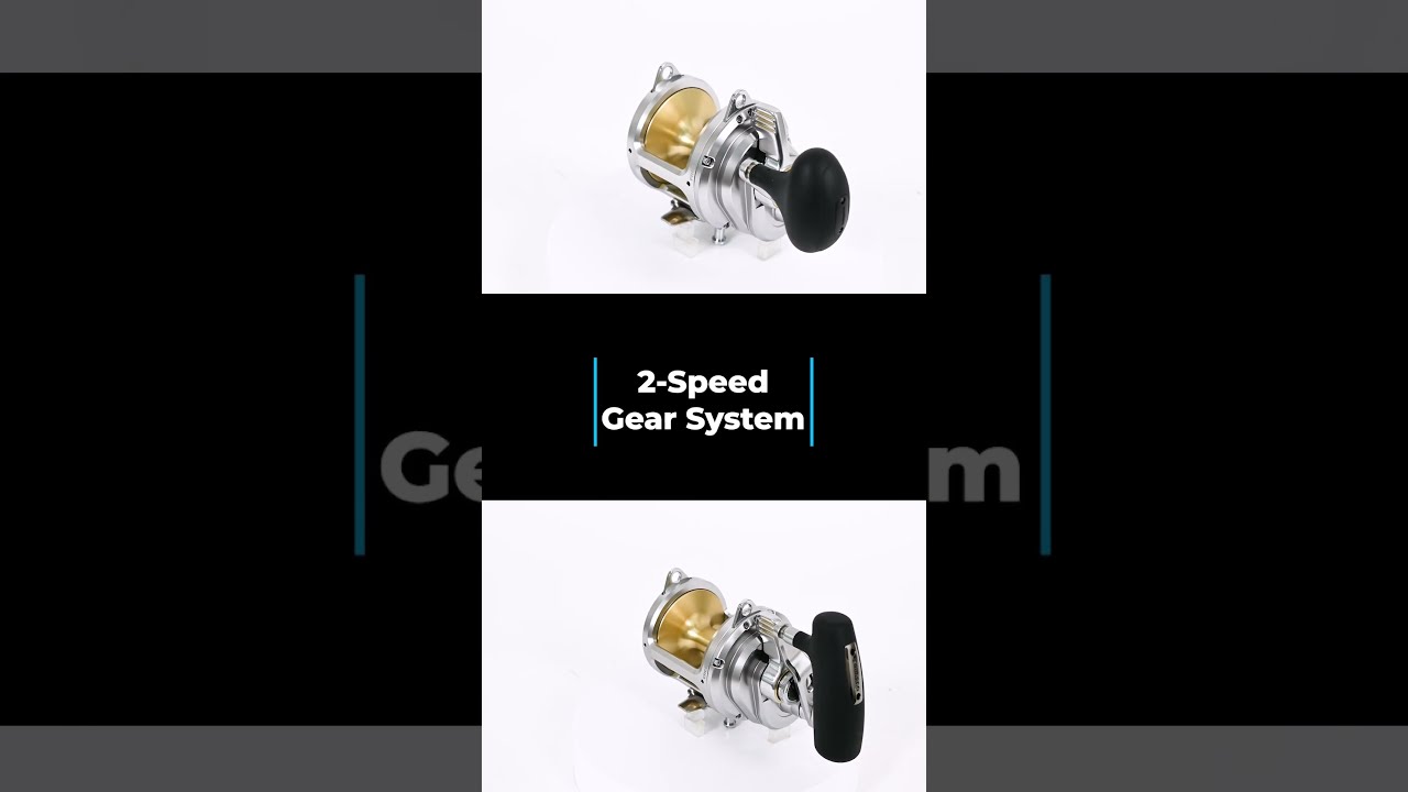 Shimano Talica 20II & 25II Reels - 2024 Model