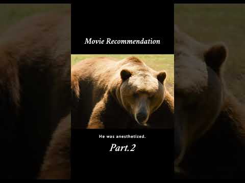 This dad actually bought the zoo Part 2 #film #shorts #movie