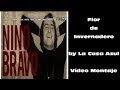 Nino Bravo by La Casa Azul - Flor de invernadero - Videoclip - Inédito 2014 - HD &amp; 3D