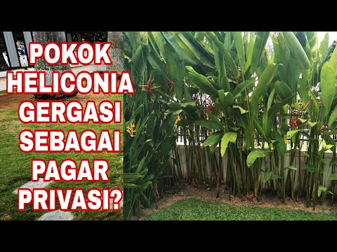 Video: Perdu Hiasan (109 Foto): Varieti Terbaik Untuk Taman. Pendaftaran Pondok Musim Panas. Bagaimana Memilih Semak Untuk Ural Dan Siberia? Peraturan Penanaman Dan Penjagaan