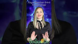 Angel Number 844 Numerology | SunSigns.Org | #shorts