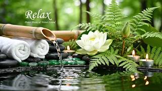 Relaxing Music for Deep Healing 🌿 Soothing Music to Calm Anxiety & Cure Insomnia | Deep Sleep Music