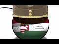 Unfinished Part from a Cancelled Collab｜#countryballs