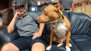 Homeless veteran and his dog find new homes after leaving his 'baby' at Fort Worth fire station