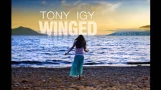 Tony Igy - Winged (Original Mix)