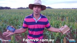 FarmVR - an immersive 360-degree virtual reality agricultural experience