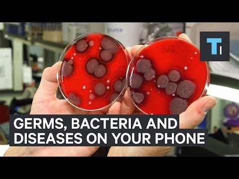 Germs, bacteria, and diseases living on your phone