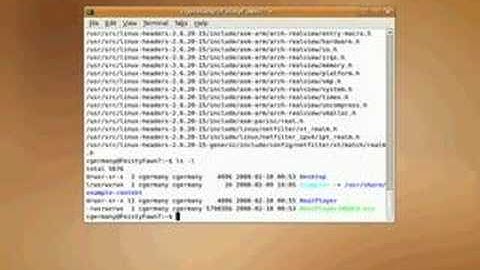 Ubuntu - Real Player Insallation