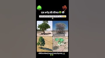 save trees 🌴🌲🙏🏼 #flute #love #music #nature #tree #trees #trending #trendingshorts #viral #video