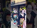 挨拶まわり 綺麗な芸舞妓さん👘