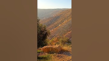 القارئ عبد الباسط عبد الصمد القرآن الكريم #اكسبلور #المصحف #تصويري #عبدالباسط_عبدالصمد