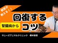 獣医が教える！腎臓病から回復するコツ
