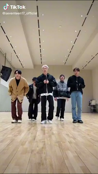 Young , Wild and Free 😊#seventeen #jeonghan #joshua #jun #hoshi #dk