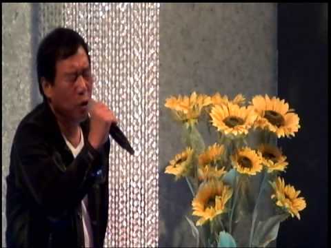 吳木(主唱人)~安平追想曲