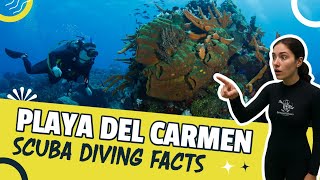 5 SCUBA DIVING FACTS ABOUT PLAYA DEL CARMEN