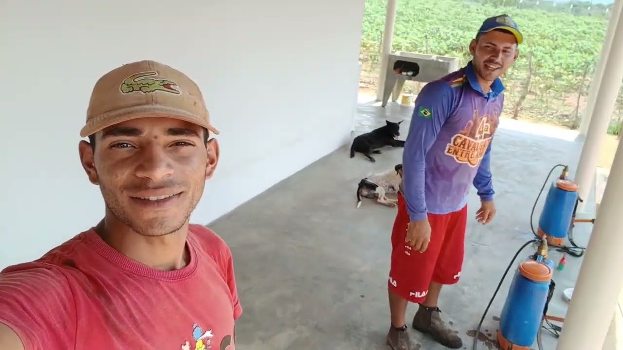 Preparando á terra pra mas logo nós tá plantando pra molha com u poço artesiano+colheita de coentro 