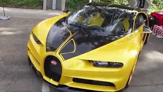 Bugatti Chiron "Hellbee" (w/ startup)