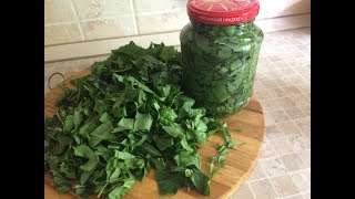 КОНСЕРВИРУЕМ ЩАВЕЛЬ/ ЗАГОТОВКИ НА ЗИМУ КОНСЕРВИРУЕМ ЩАВЕЛЬ/ ЗАГОТОВКИ НА ЗИМУ