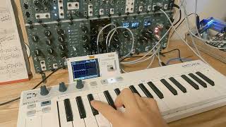 Celebrity Prototype module performance / DIY delay vibrato module | Eurorack modular synth Wealth