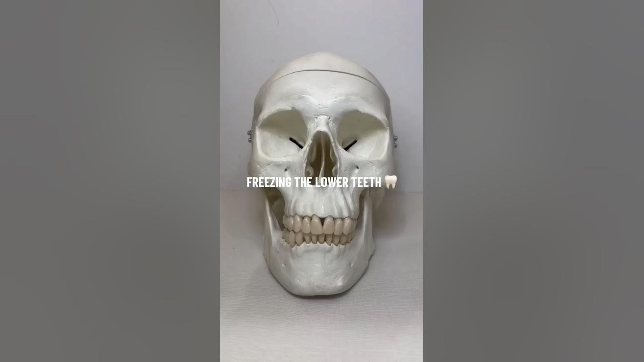 Smiling With Your Lower Teeth