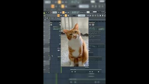 Kitty Cat | Sagar | Music Video