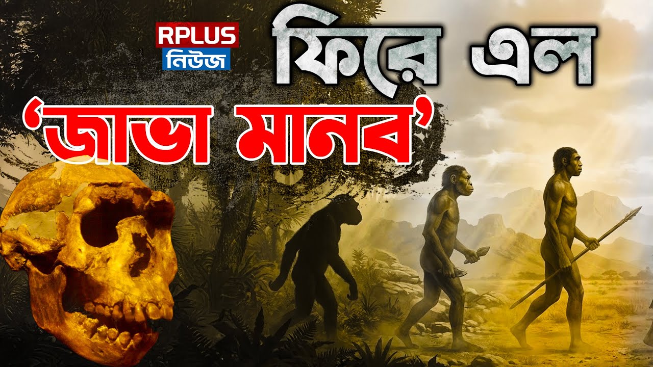 ফিরে এল "জাভা মানব" । Java Man | First fossil evidence of Homo erectus ...