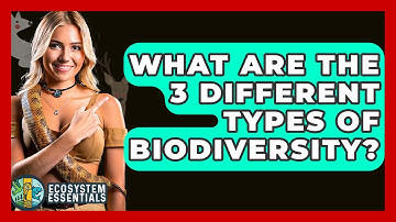 What Are The 3 Different Types Of Biodiversity? - Ecosystem Essentials