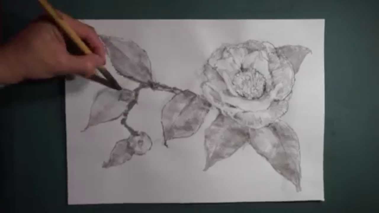 HOW TO DRAW-描き方】「サザンカ（Sasanqua）」を 墨でデッサン