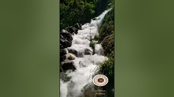 ما تيسر من سورة الأحزاب بصوت إبراهيم الجباحي