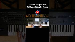 Milion białych róż - Million of Scarlet Roses