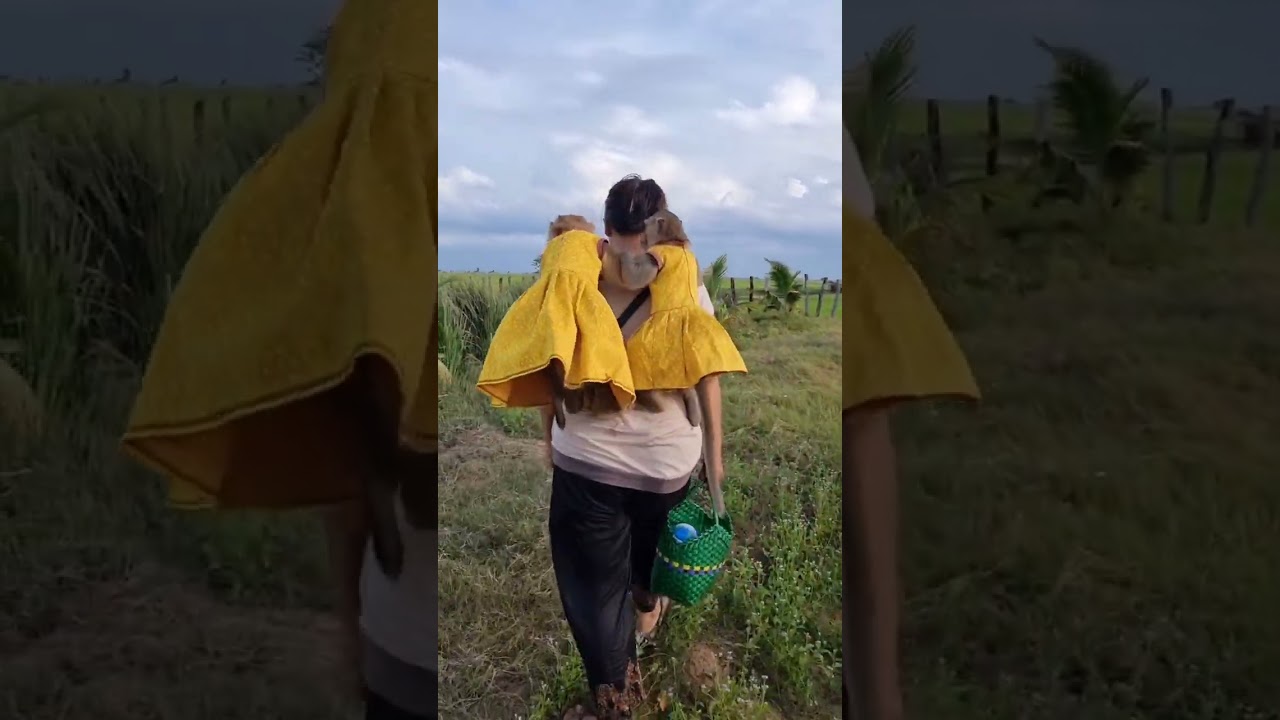 yaya and shally Follow mommy to visit the farm 🥰