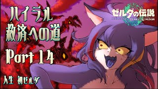 【ティアキン】ハイラル救済への道 Part.14【ケモノV】