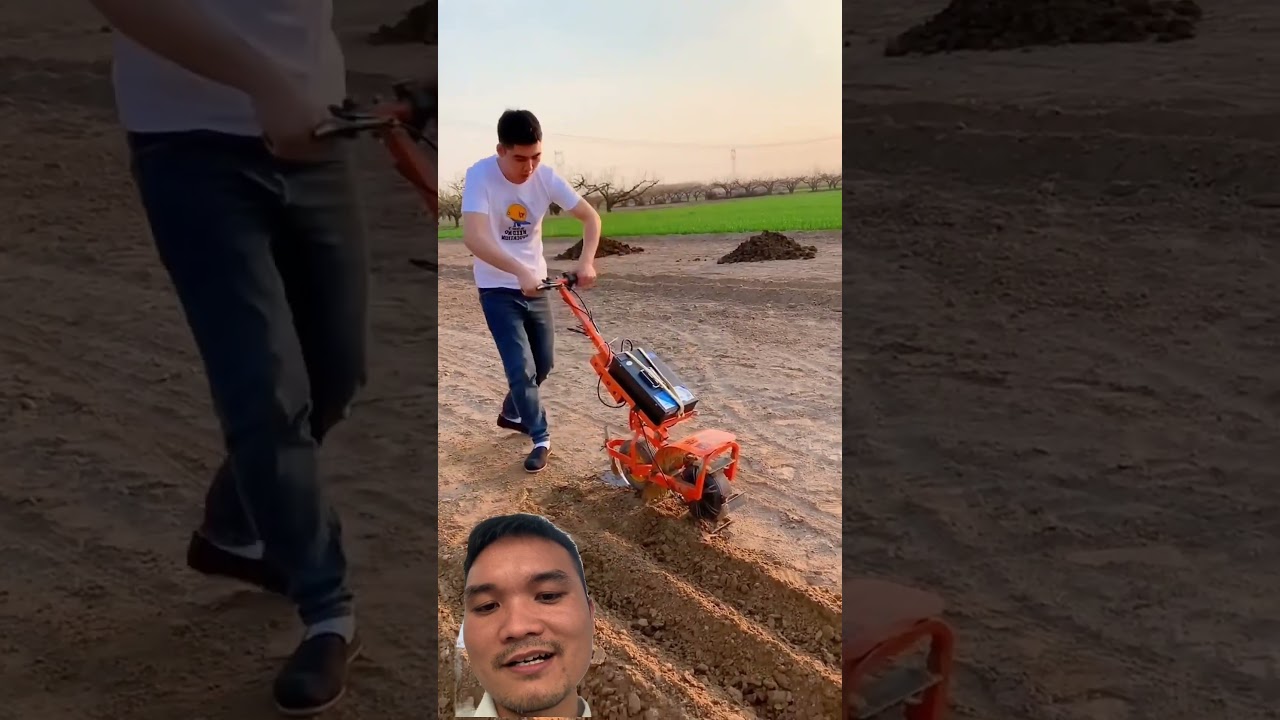 Em Nên Chọn Phương Án Nào #farming