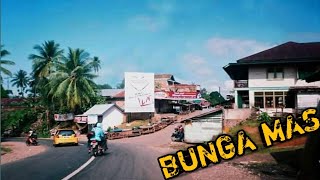 Lokasi Bunganya Bungamas Kikim Area