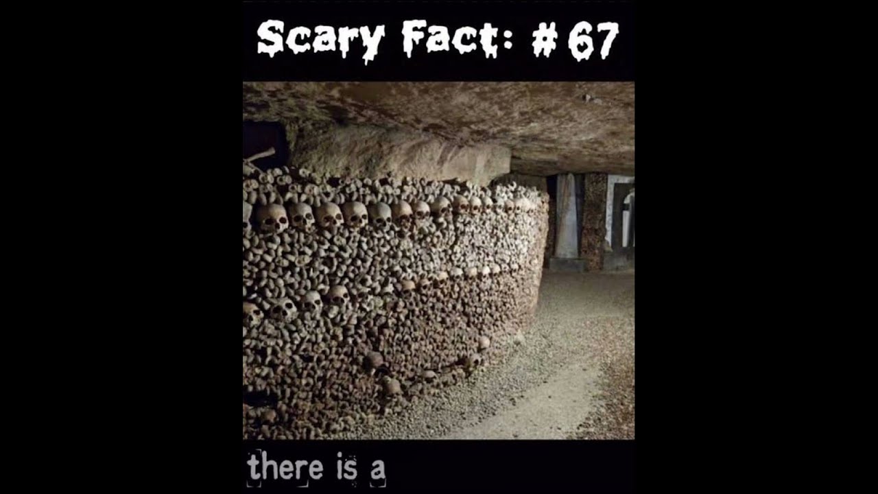  Scary Fact 67