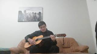 Dragostea Din Tei || Guitar