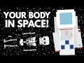 What Exactly Does Space Travel Do To Your Body?