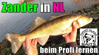 Zander in NL | Mit First Class Baits unterwegs | WMMS Fish On!