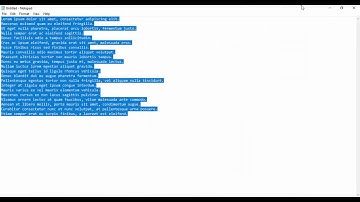 How To Add Line Numbers To Text Video Tutorial.