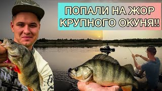 Нашли стаю крупных окуней!!рыбалка на окуня весной!! Река Челбас.