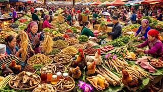 Tôi Người Vùng Cao