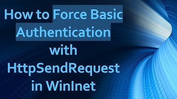 How to Force Basic Authentication with HttpSendRequest in WinInet