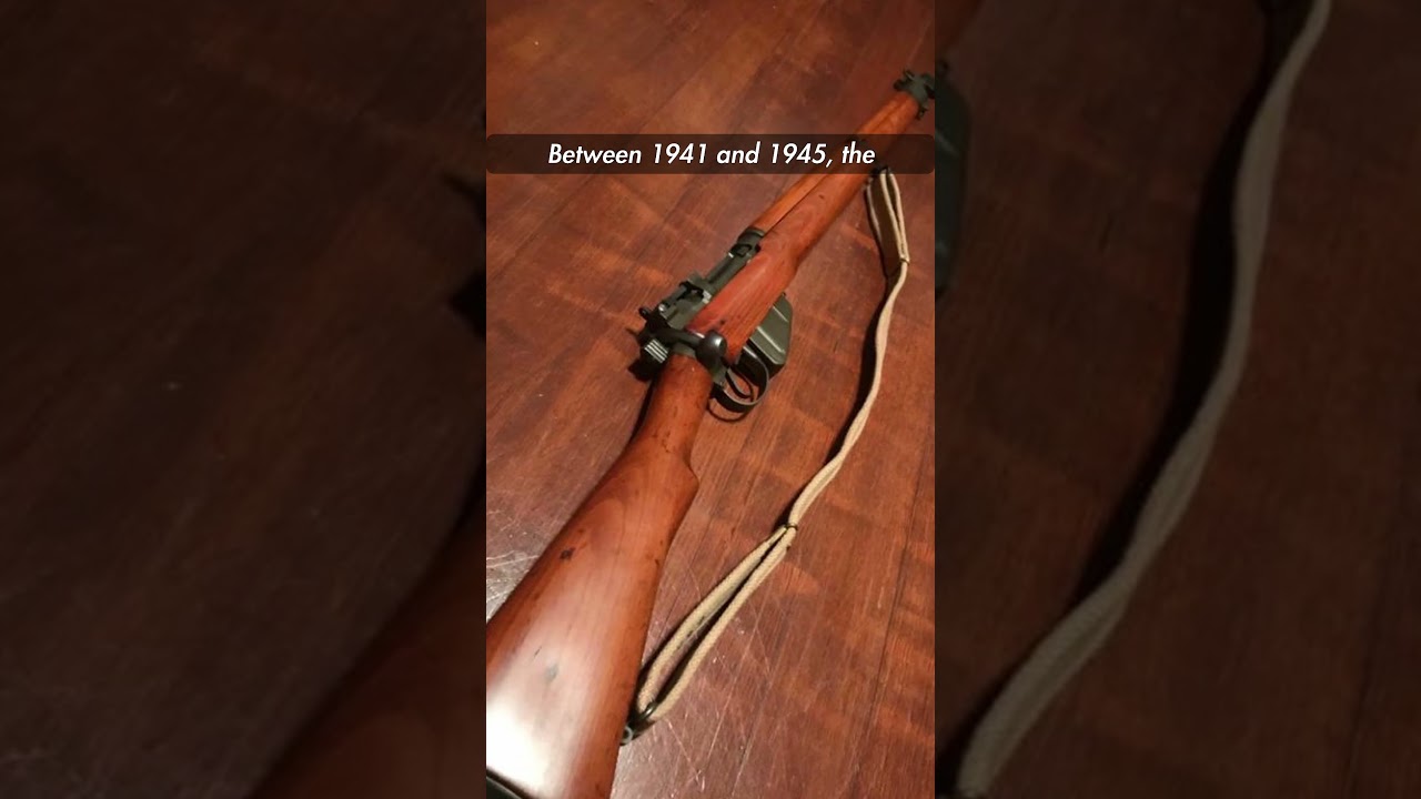 Реальная история винтовки выживальщика | Лор Fallout