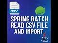 Spring Batch: Import CSV to Oracle DB