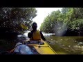 Adventure Kayaking SA Port River Tour