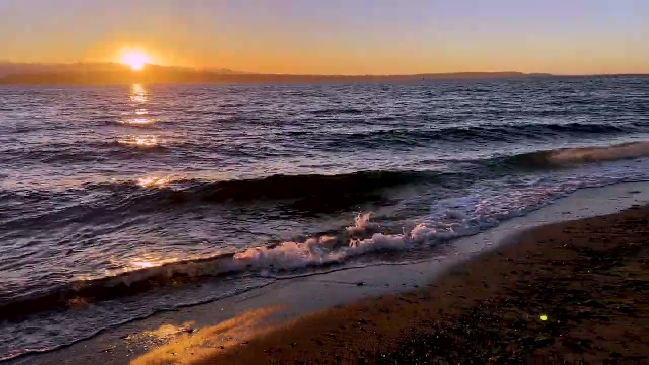 Walk along Edmonds Marina Beach